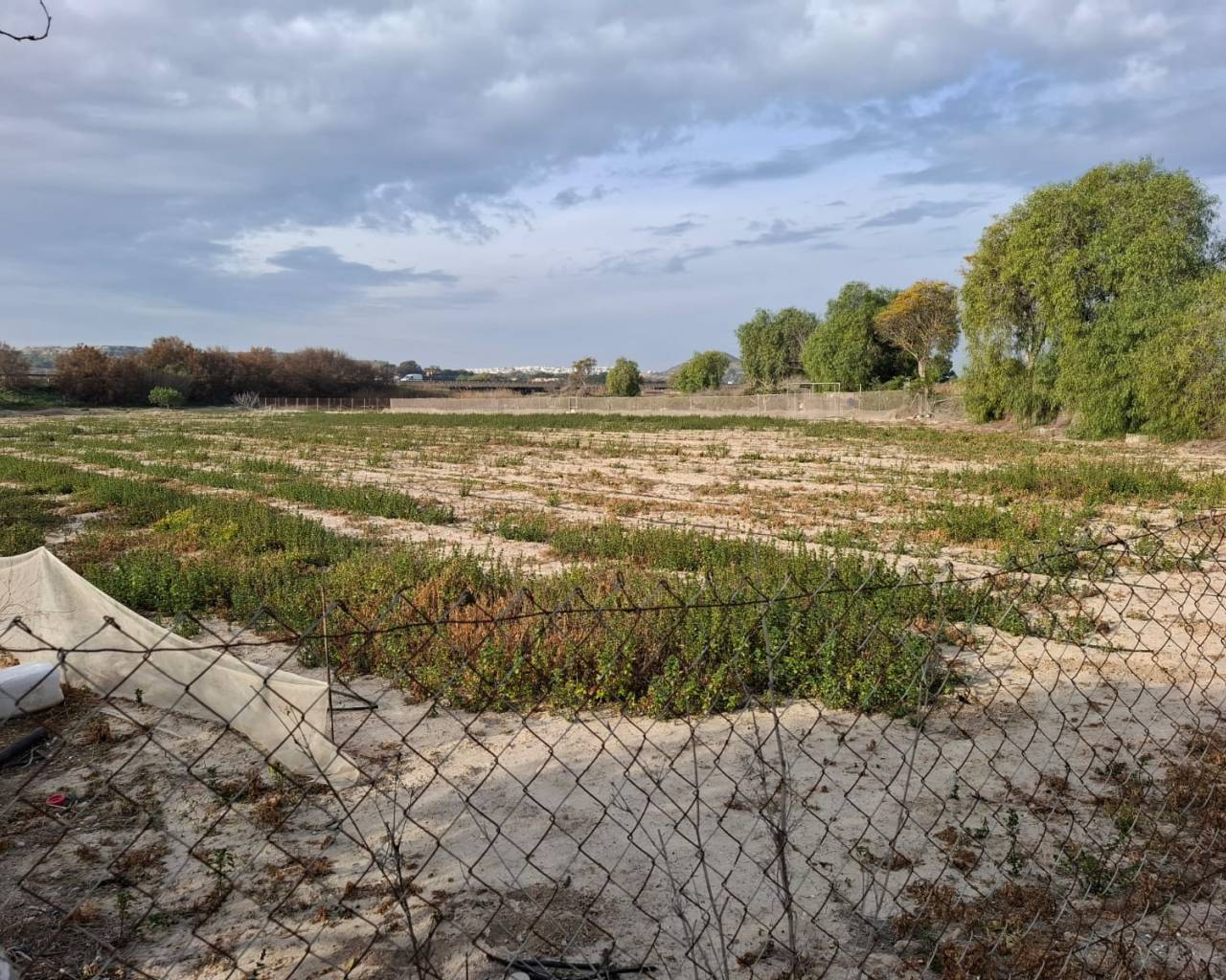 Plot - Sale - Guardamar del Segura - Guardamar pueblo