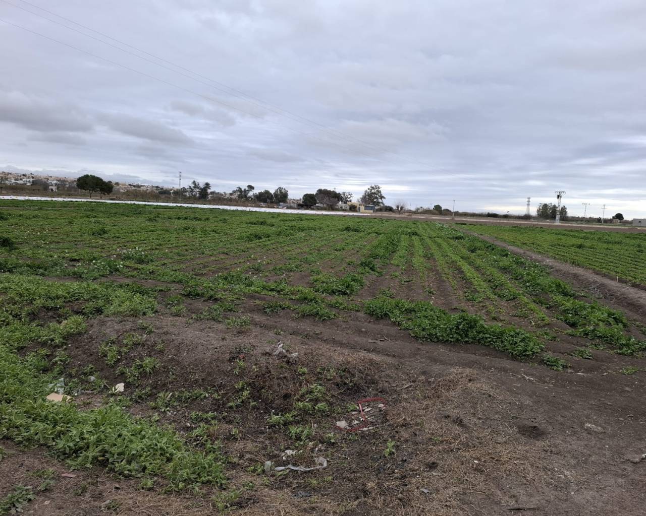Plot - Sale - San Fulgencio - San Fulgencio