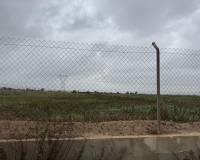 Sale - Plot - Elche Pedanías - La Marina