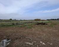Sale - Plot - Guardamar del Segura - Guardamar Playa