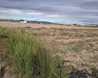 Sale - Plot - Guardamar del Segura - Guardamar pueblo