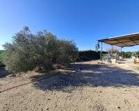 Sale - Plot - Guardamar del Segura - Guardamar pueblo