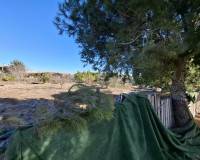 Sale - Plot - Guardamar del Segura - Guardamar pueblo