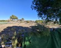 Sale - Plot - Guardamar del Segura - Guardamar pueblo