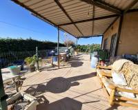 Sale - Plot - Guardamar del Segura - Guardamar pueblo