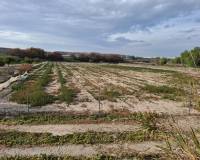 Sale - Plot - Guardamar del Segura - Guardamar pueblo