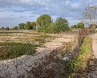 Sale - Plot - Guardamar del Segura - Guardamar pueblo