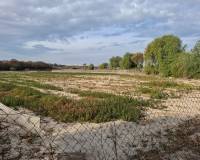 Sale - Plot - Guardamar del Segura - Guardamar pueblo