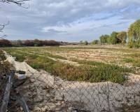 Sale - Plot - Guardamar del Segura - Guardamar pueblo