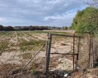 Sale - Plot - Guardamar del Segura - Guardamar pueblo