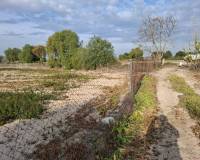 Sale - Plot - Guardamar del Segura - Guardamar pueblo