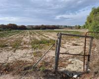 Sale - Plot - Guardamar del Segura - Guardamar pueblo