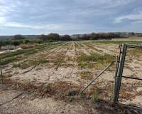 Sale - Plot - Guardamar del Segura - Guardamar pueblo