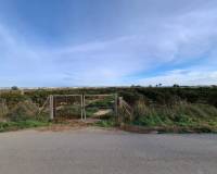 Sale - Plot - Guardamar del Segura - Urbanizaciones