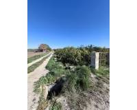 Sale - Plot - San Fulgencio