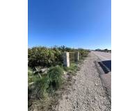 Sale - Plot - San Fulgencio