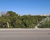 Sale - Plot - San Fulgencio