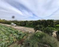 Sale - Plot - San Fulgencio