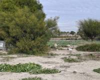Sale - Plot - San Fulgencio