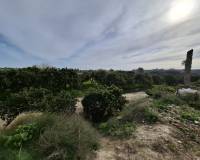 Sale - Plot - San Fulgencio