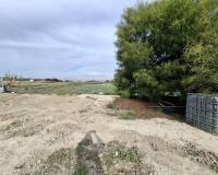 Sale - Plot - San Fulgencio