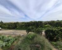 Sale - Plot - San Fulgencio