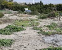 Sale - Plot - San Fulgencio