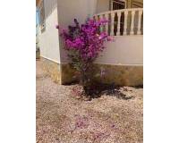 Venta - Chalet - Rojales - Ciudad Quesada