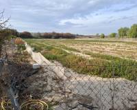 Venta - Parcela/Terreno - Guardamar del Segura - Guardamar pueblo